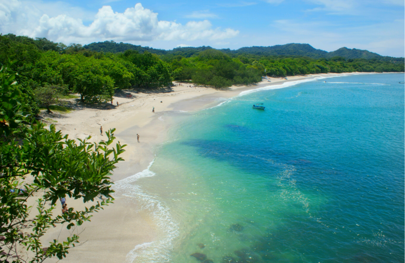 O paraíso da biodiversidade na Costa Rica