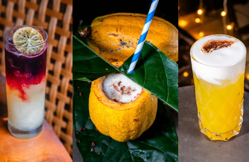 Circuito Amazônia Sour: conheça os drinks de 31 participantes do festival