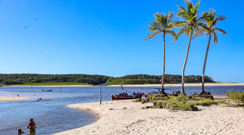 Encanto para os olhos do mundo e para você: conheça lugares fascinantes para viver experiências incríveis no Pará
