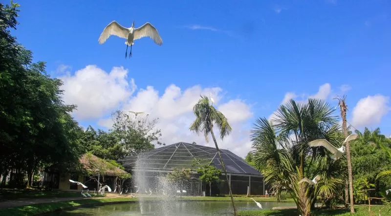 Mangal das Garças realiza oficina de móbiles naturais para crianças neste domingo (24)