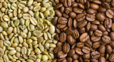 Brasil exporta volume recorde de café verde descafeinado para o Japão