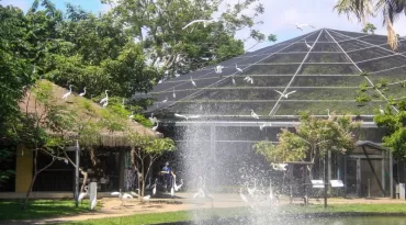 Saiba o que funciona no feriado de Corpus Christi em Belém