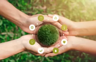 Bioeconomia no Pará: plataforma vai ampliar acesso a dados estratégicos
