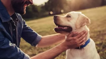 Turismo pet friendly ganha espaço no Brasil e amplia oportunidades para destinos, negócios e famílias